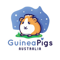 Guinea Pigs Australia 