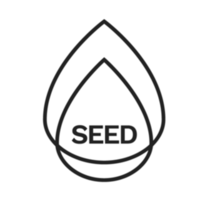 Seed