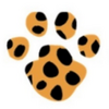 Active Recruitment Pty Ltd